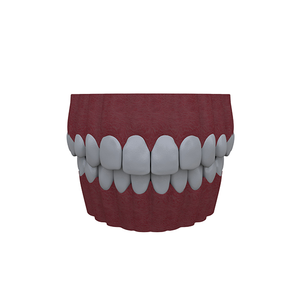 Mouth - 3DOcean Item for Sale