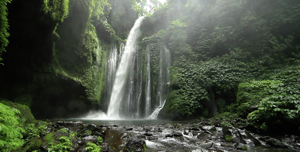 Wild Jungle Waterfall