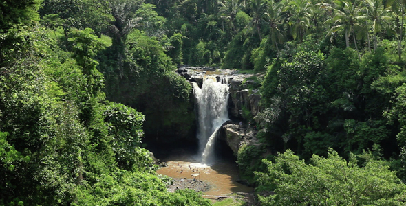 Tropical Rainforest Waterfall