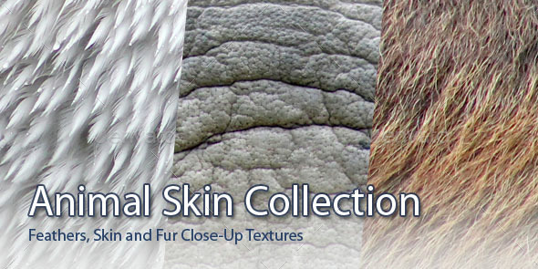 45 Animal Skins - 3Docean 15309964