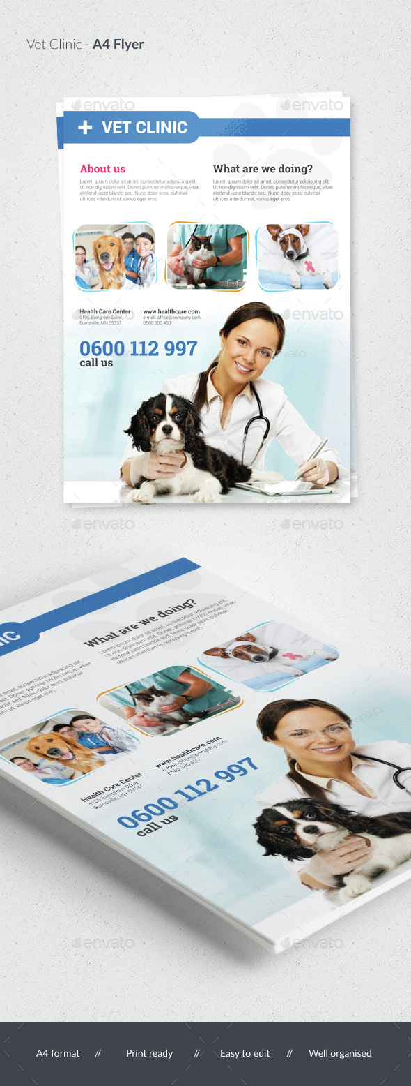 Vet Clinic / Pet Care Flyer - Commerce Flyers