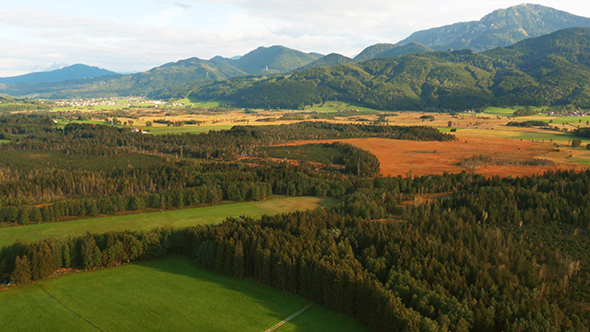 Aerial Footage of Forrest and Mountains