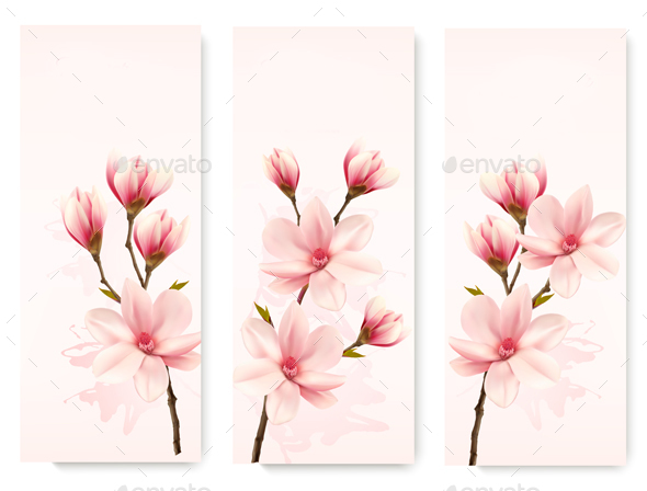 Three Magnolia Banners - Flowers & Plants Nature