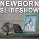 Kittens Lullaby - Baby Photo Album Kittens Lullaby - Baby Photo Album - VideoHive Item for Sale
