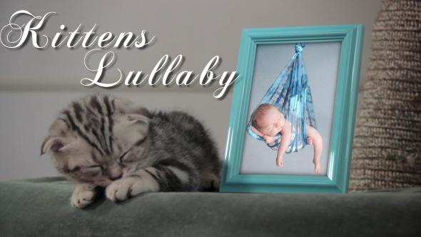 Kittens Lullaby - Baby Photo Album