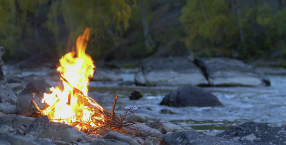 Fire the Lake Shores alt