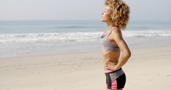 A Young Girl At The Beach. alt