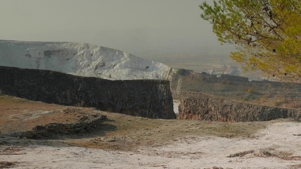 Pine Tree With An Ancient Wall And Travertines In a Distance, Pamukkale, Turkey. 