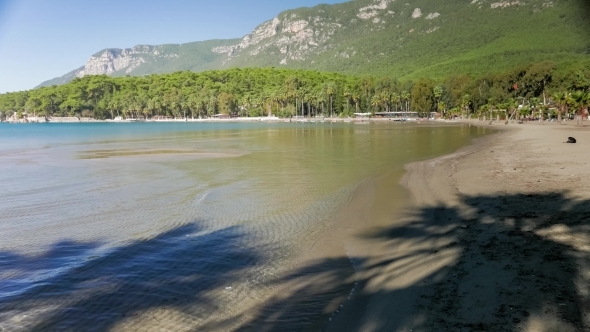 Sandy Beach With Lush Green Nature Of Pine Trees And Palms Along