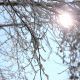 Frost And The Sun 2 - VideoHive Item for Sale