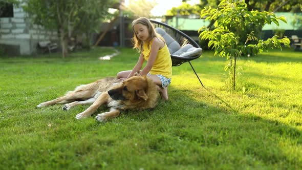 Cute girl and dog enjoy summer day on the grass in the park.