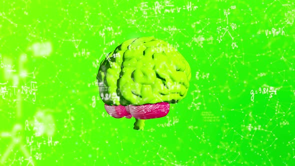 Plexus Brain Formula