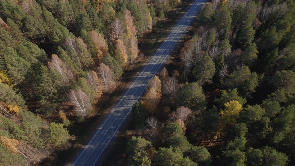 Closeup road with traffic cars between autumn forest in Ural