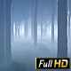 Foggy Wood Foggy Wood - VideoHive Item for Sale