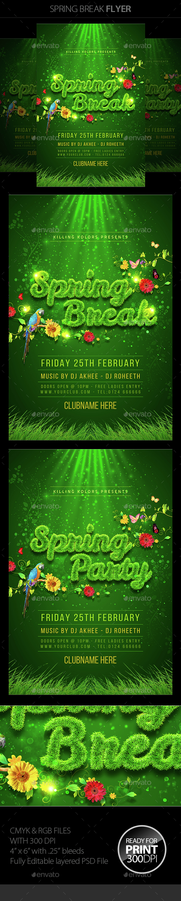 Spring Party Flyer - Clubs & Parties Events