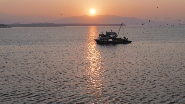Fishing Trawler Surrounded By Many Seagulls With Sunrise On The Background