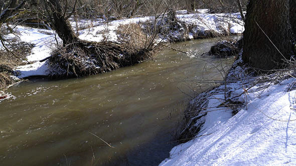 Forest River at Early Spring
