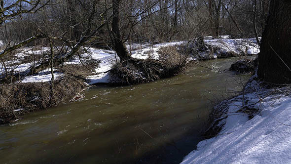 Forest River at Early Spring