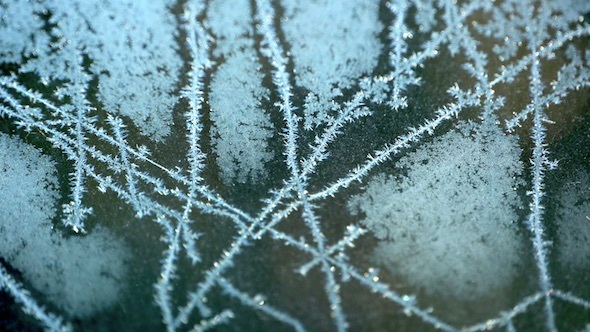 Winter Frost Patterns