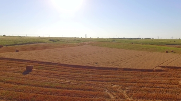 Hale Bales Lying On Fresh Cut Wheat Field