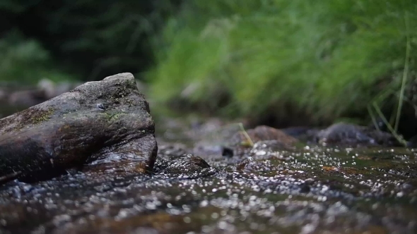Stream Flowing Between Rocks With Authentic Sound