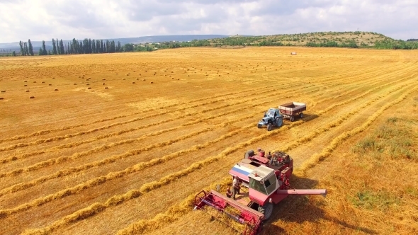 Farm Machinery On Wheat Field At Harvest Time 