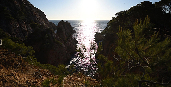 Mediterranean Sea and Pine Cliffs