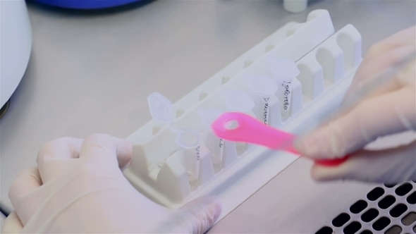 Working With Microtubes For PCR In a BSC. alt