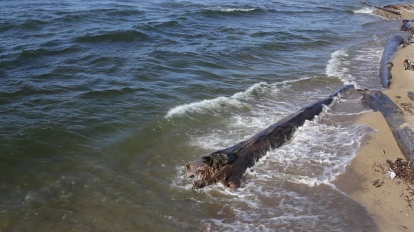 The Sea And The Waves