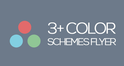3+ Color Schemes Flyer