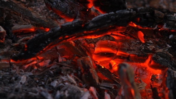 Embers After a Fire