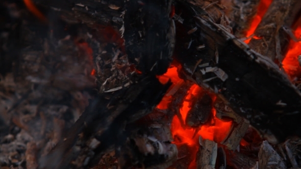 Embers After a Fire