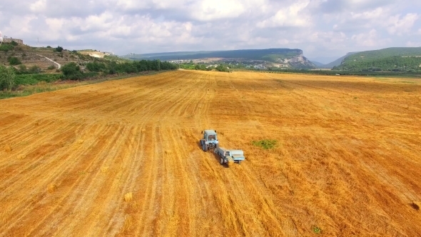 Farm Tractor With Trailer Moving Along Wheat Field