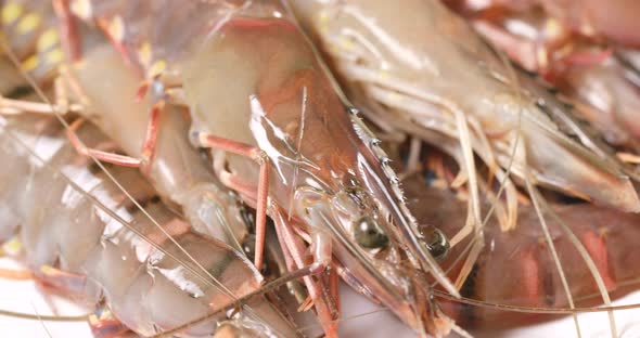 Fresh raw shrimp alt