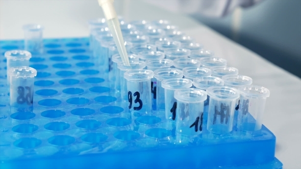 Lab Technician Scientist Makes Chemical Analysis alt