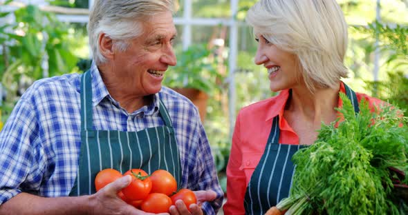 Mature couple checking tomatoes alt