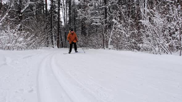 Skier skating on skis in snowy forest with snow. Cross-country skiing alt