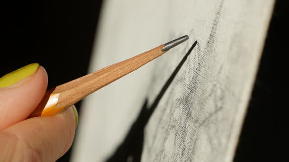 Artists Hand Drawing Wooden Pencil Image On Paper