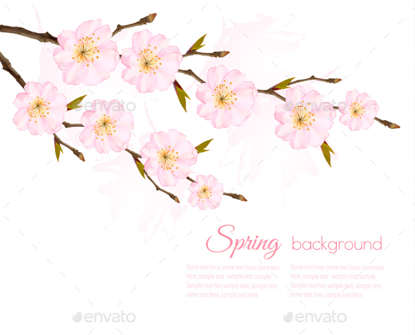 Spring Background with a Sakura Branch - Flowers & Plants Nature