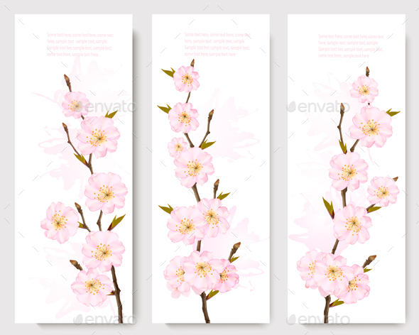 Spring Nature Banners with Blossoming Sakura - Flowers & Plants Nature