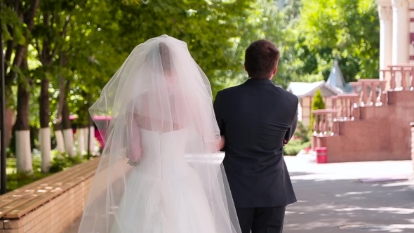 The Bride And Groom Walk On Summer Alley