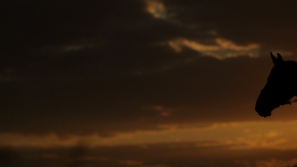 Woman Riding Horse On Field During Sunset, Stock Footage 