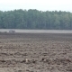 Tractor Plowing The Field - VideoHive Item for Sale