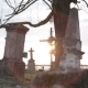 Graves In a Very Old Cemetery - VideoHive Item for Sale