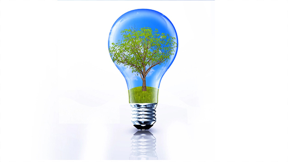 Green Tree Growing In Light Bulb - Ecology Concept