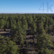 Above the Arizona Forest - VideoHive Item for Sale