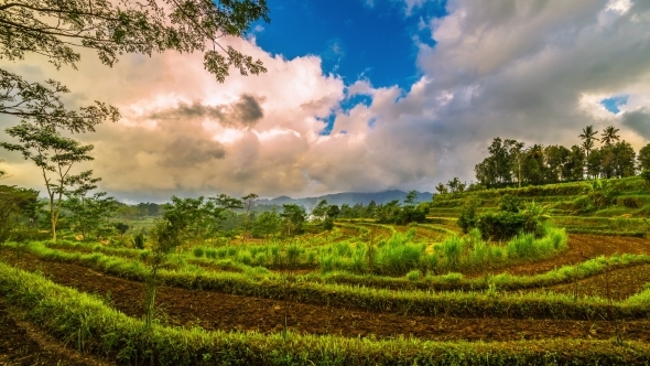 Sunset And Clouds Over Rice Terraces. 15 July 2015, Bali, Indonesia alt