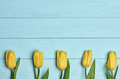 Tulips on blue wood - PhotoDune Item for Sale