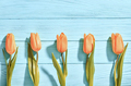 Tulips orange - PhotoDune Item for Sale