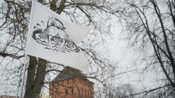 Flag Symbol Of Walruses Waves Over Kremlin alt